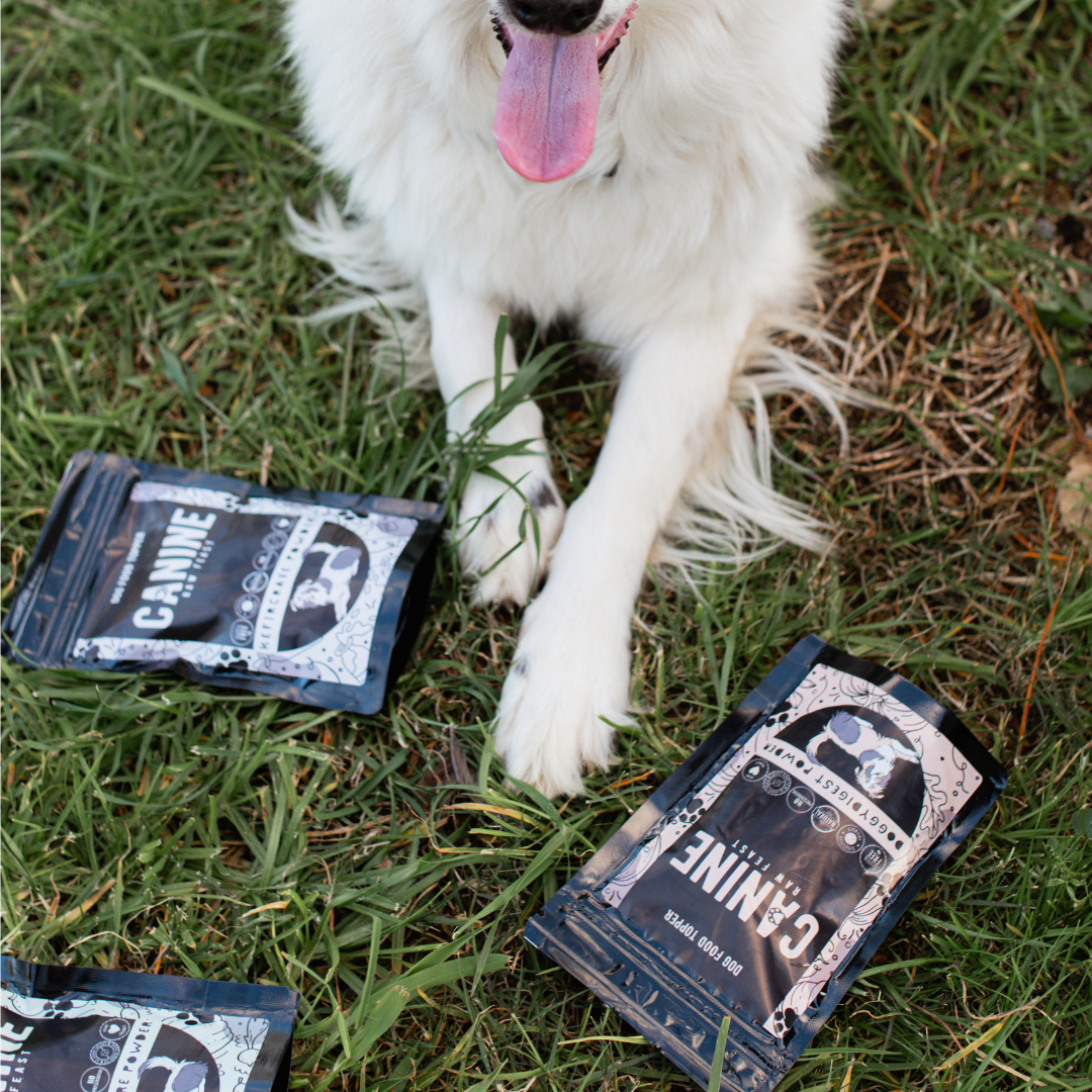DoggyDigest Powder