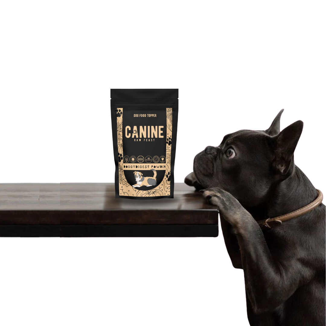 DoggyDigest Powder