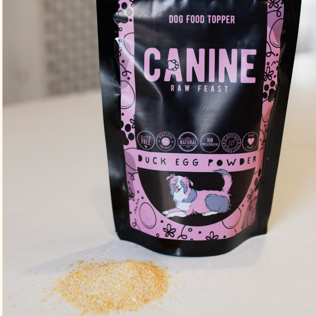 Duck Egg Powder