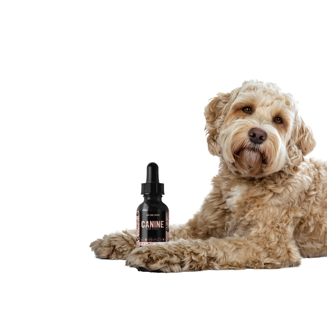 Salmon Oil