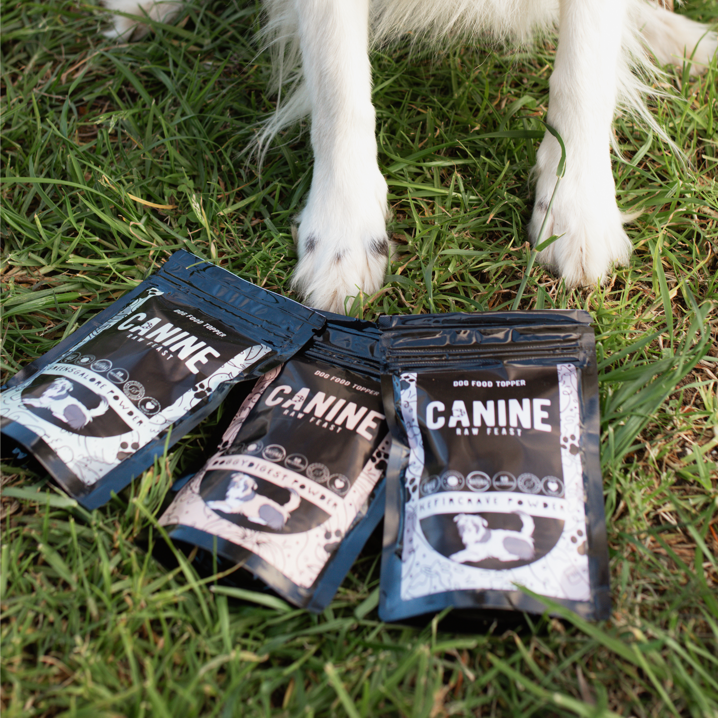 PawPack Powders