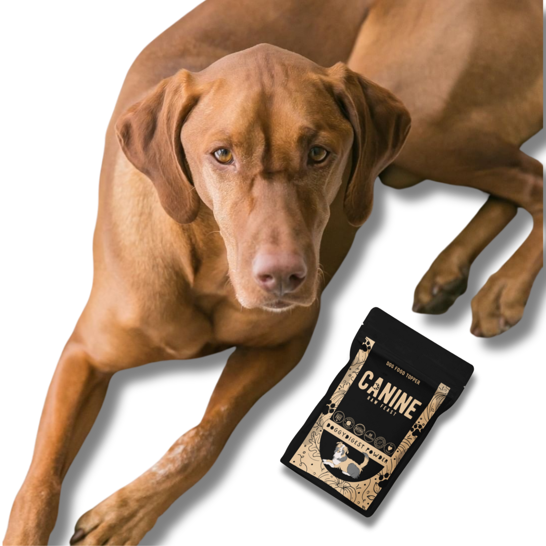 DoggyDigest Powder