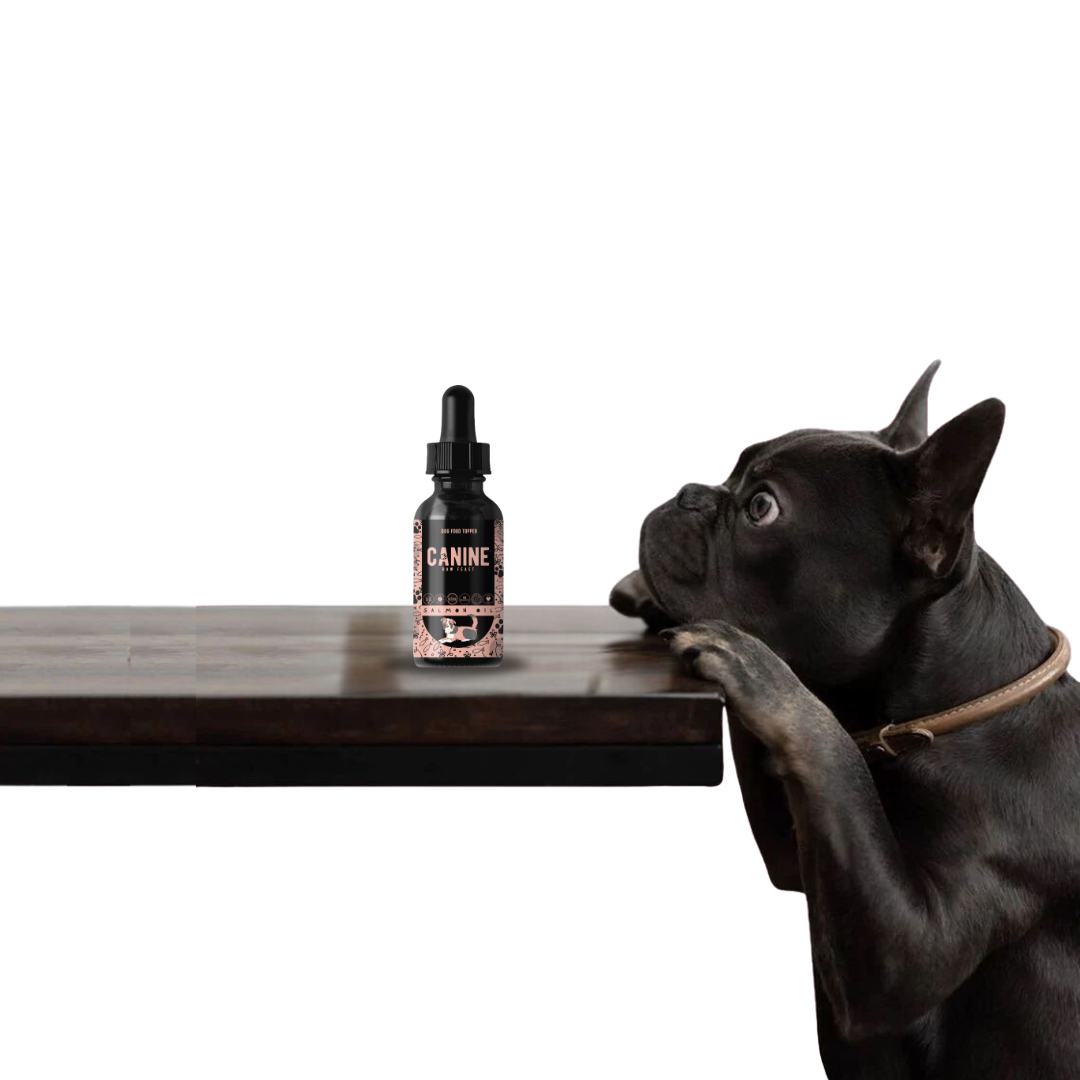 Salmon Oil