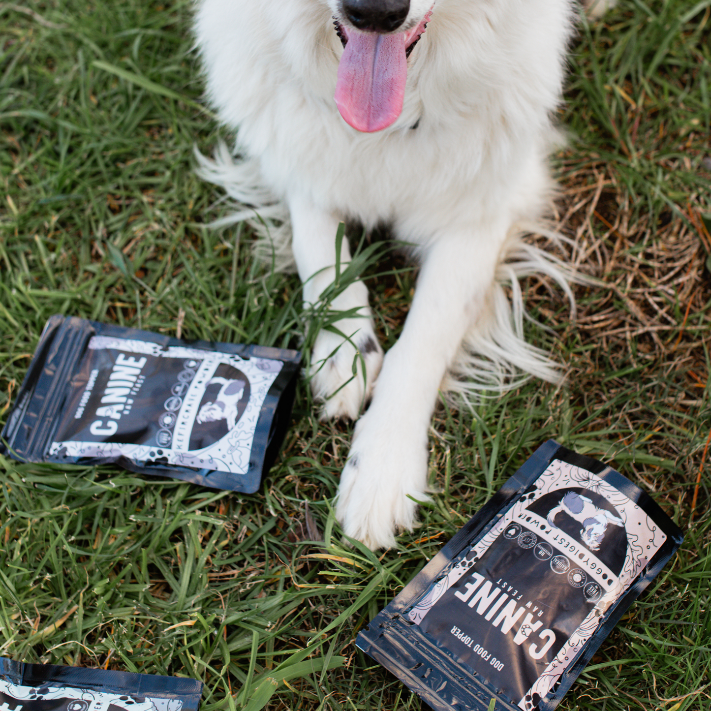 PawPack Powders