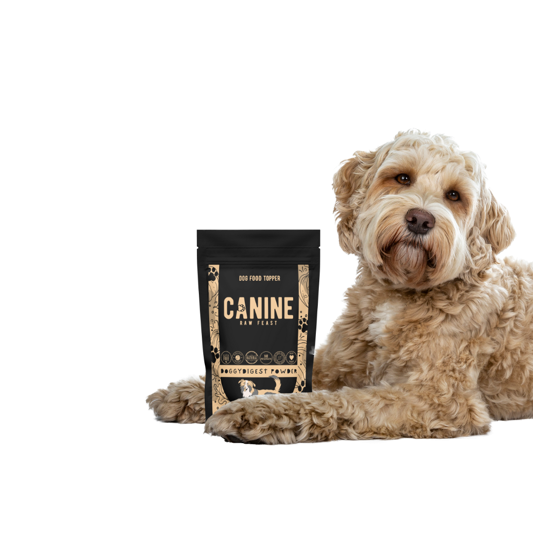DoggyDigest Powder