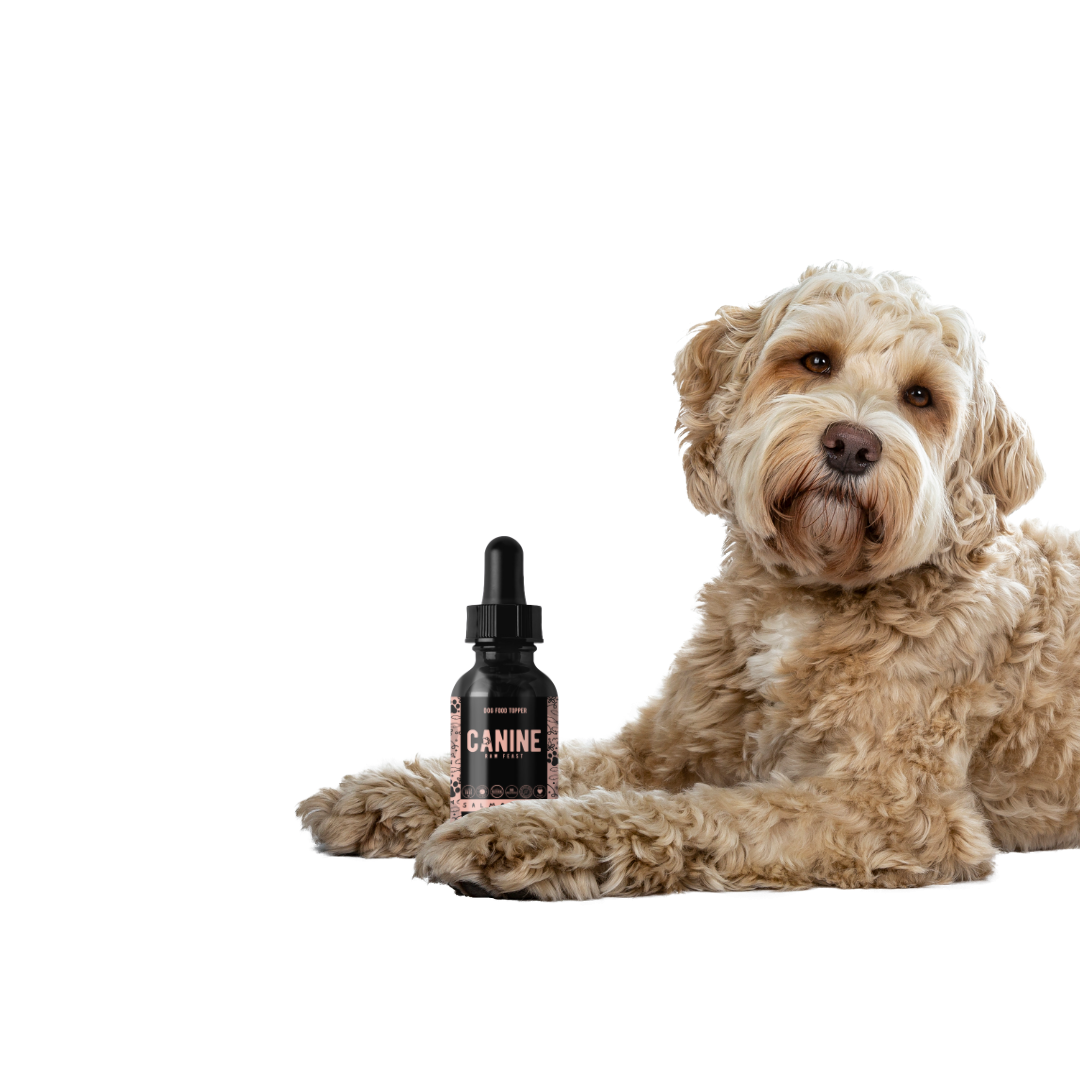 Dog Food Topper - Salmon Oil