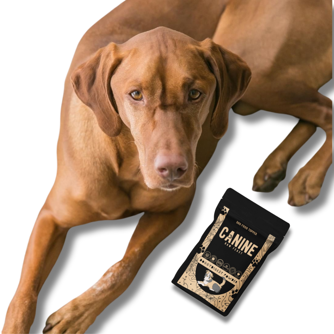 Dog Food Topper - DoggyDigest Powder