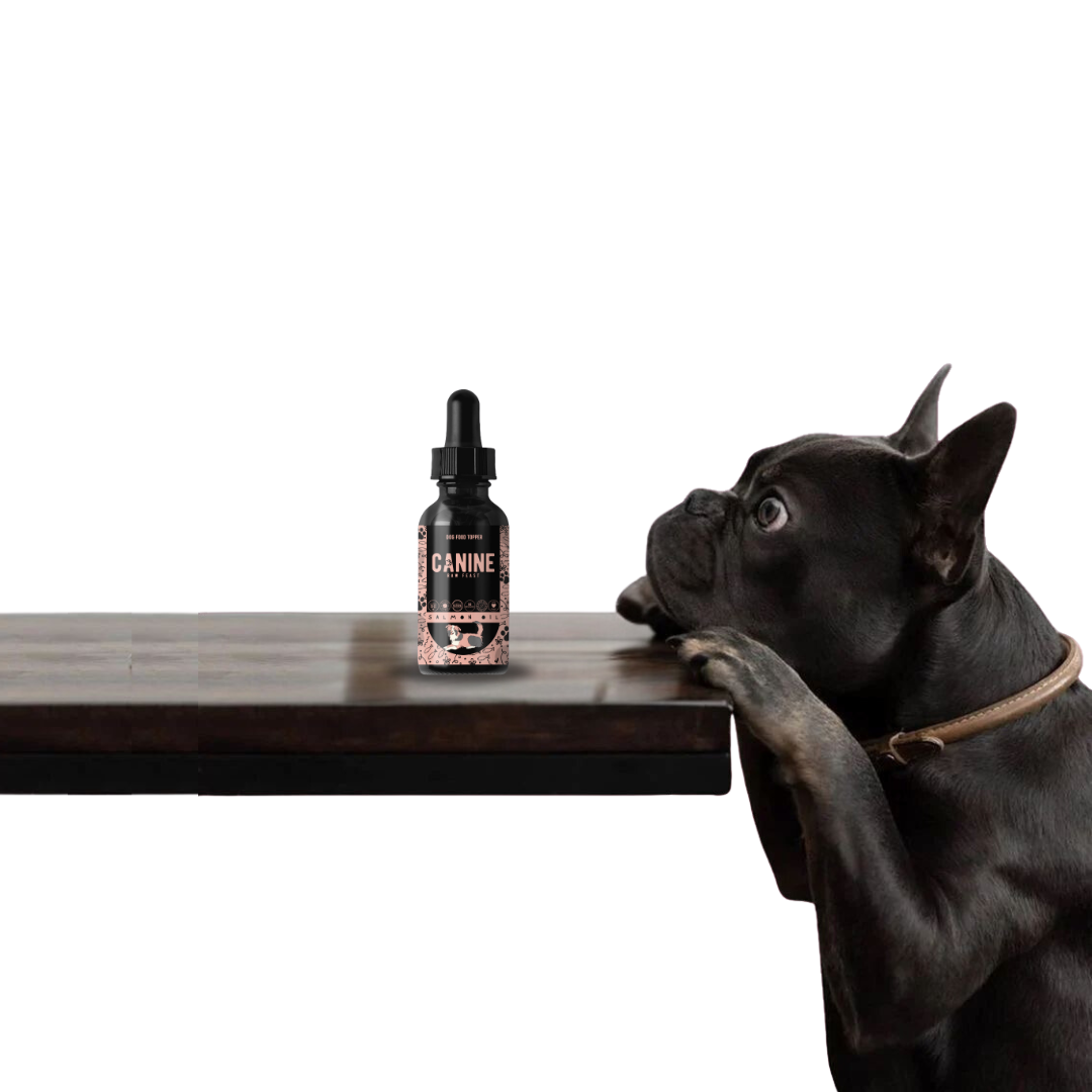 Dog Food Topper - Salmon Oil